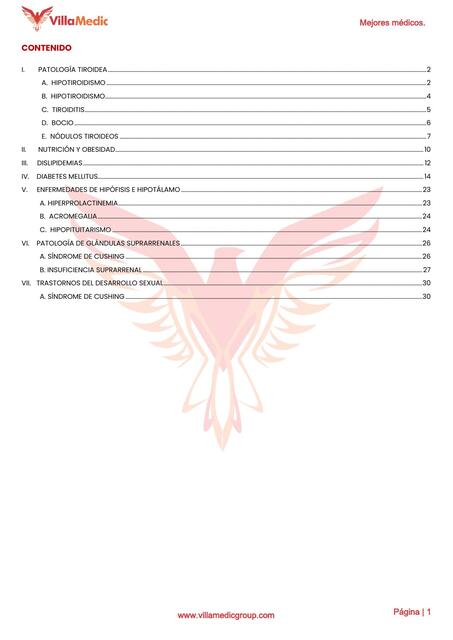 04 Villamemo Endocrinologia