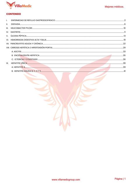 05 Villamemo Gastroenterología