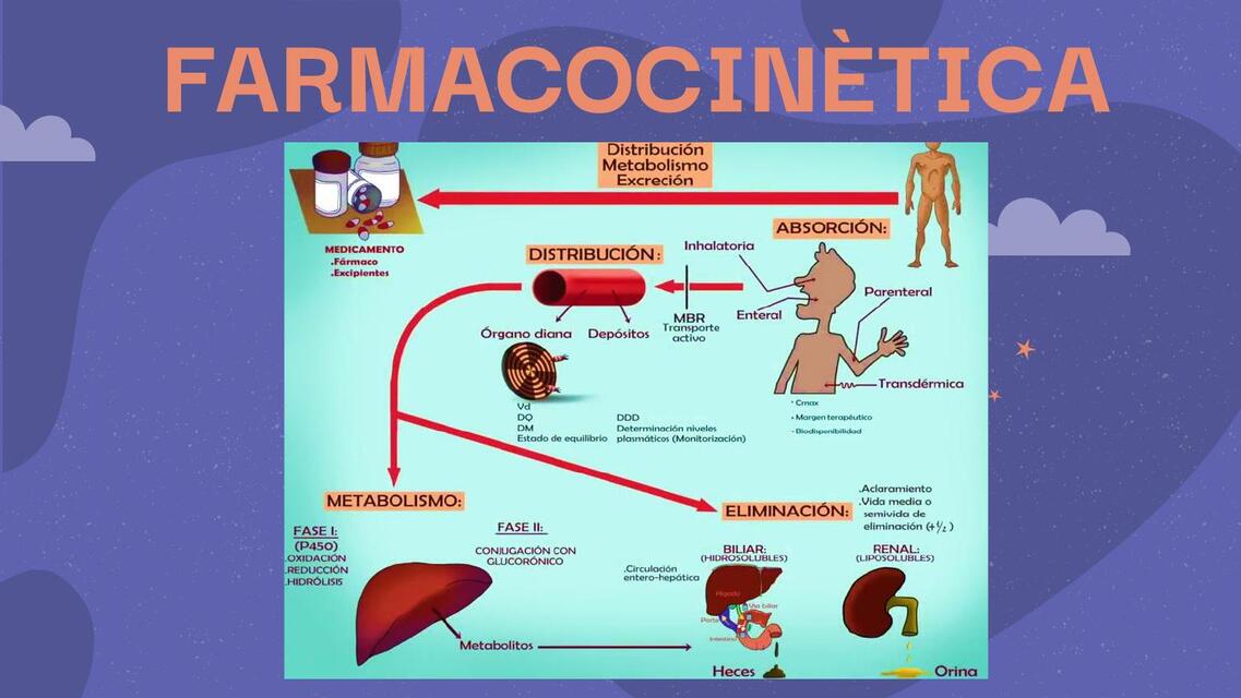 FARMACOCINETICA Y FARMACODINAMIA