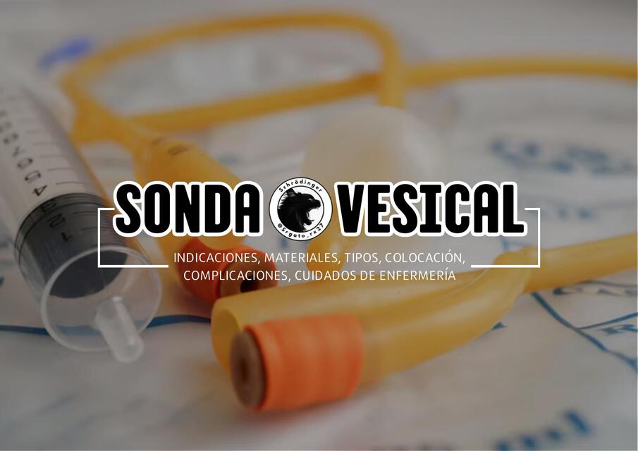 SONDA VESICAL