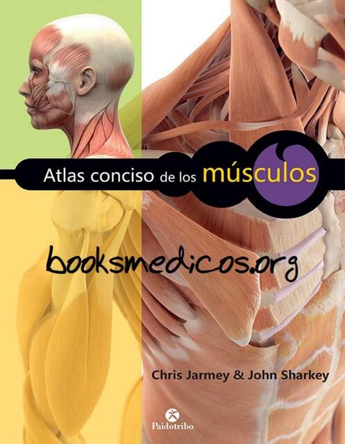 Atlas Conciso de los Musculos