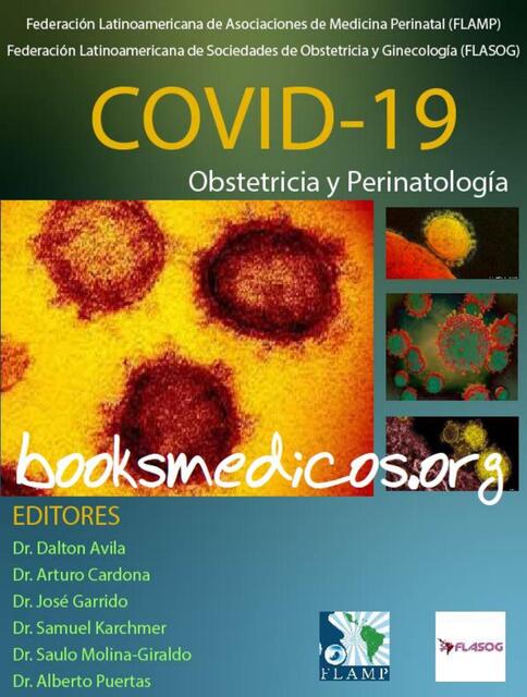 Covid 19 en Obstetricia y Perinatología