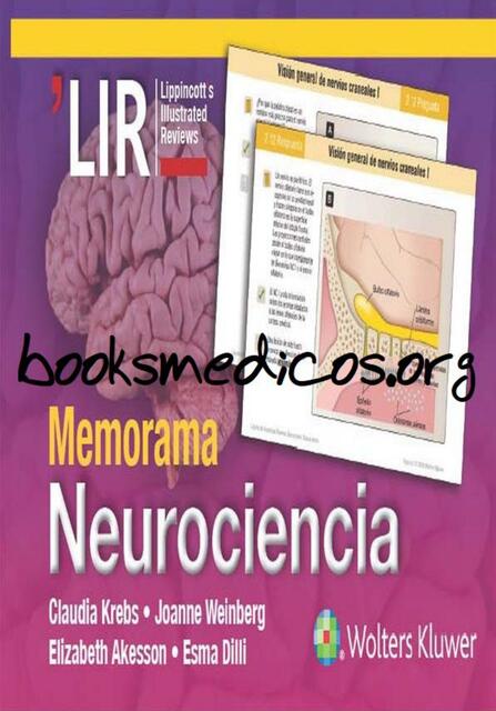 Memorama Neurociencia By Lippincot