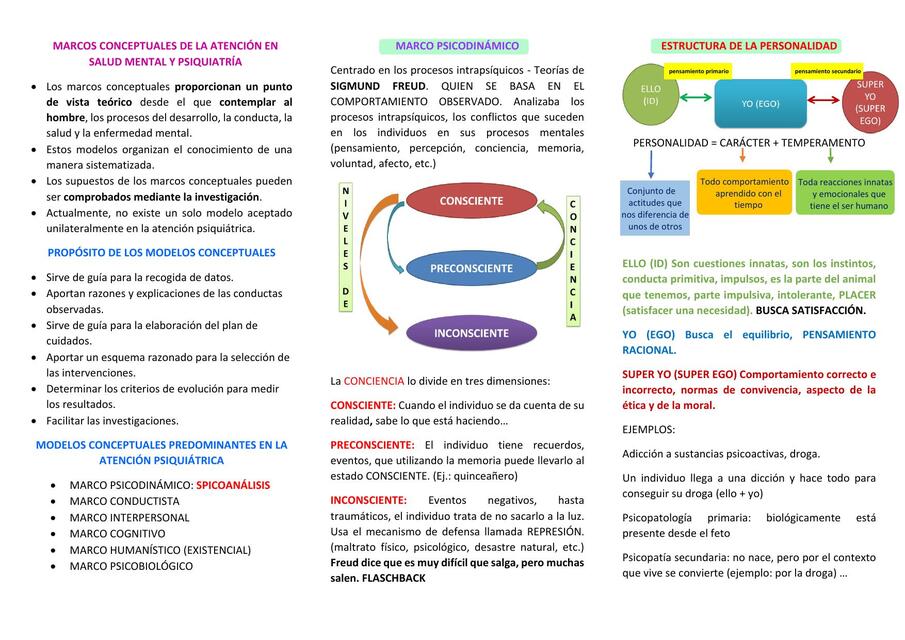 MARCOS CONCEPTUALES DE LA ATENCIÓN EN SALUD MENTAL