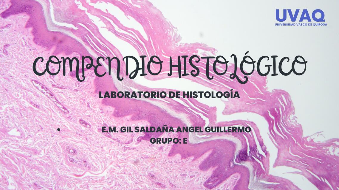 Compendio histologico Gil Saldaña Angel Guillermo