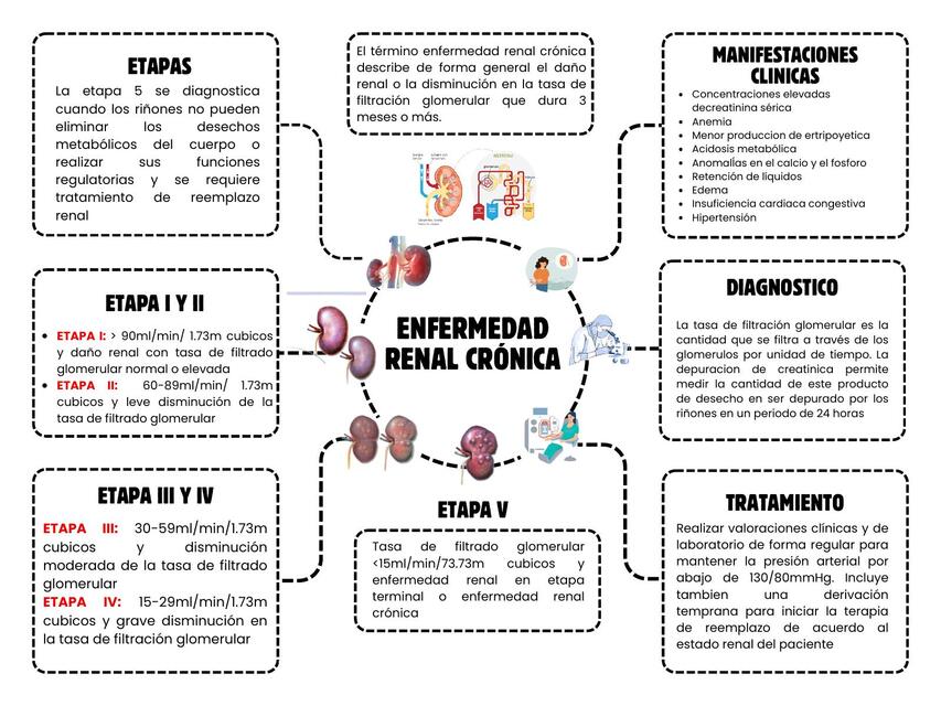 ENF RENAL CRÓNICA