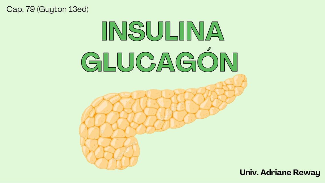 79 INSULINA GLUCAGÓN Rewayy