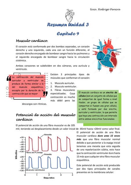 Cardio Fisio