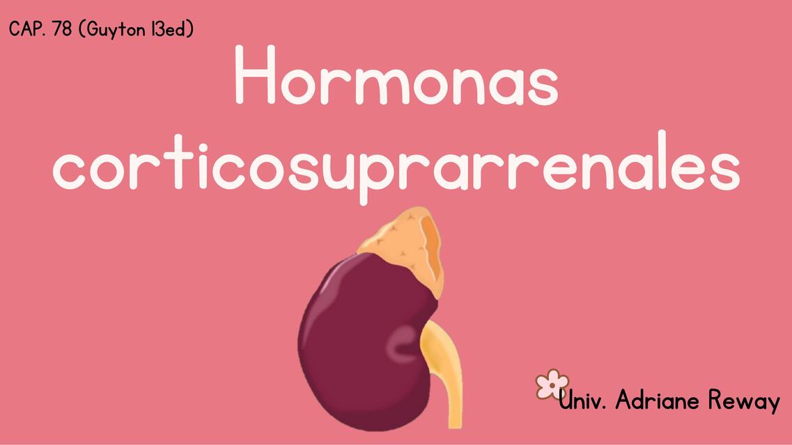 Hormonas corticosuprarrenales 