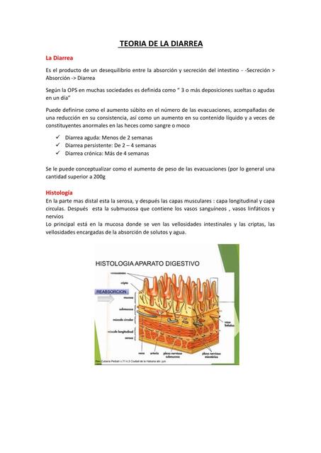 Diarrea - Fisiopatología