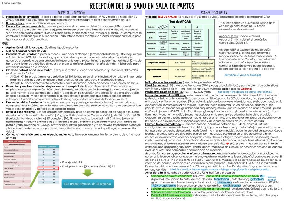 RECEPCIÓN DEL RN SANO EN SALA DE PARTOS