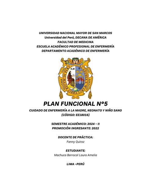 Plan Funcional 05