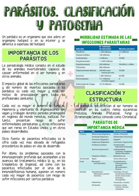 Parásitos. Clasificación y Patogenia