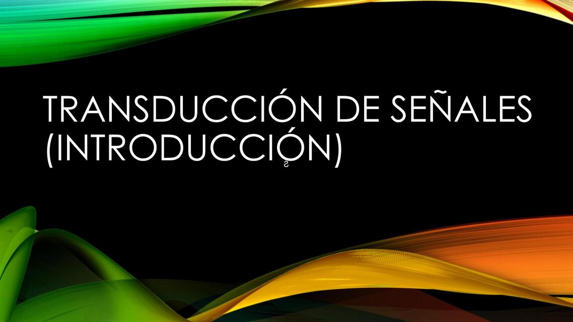 Senalizacion intro1 1