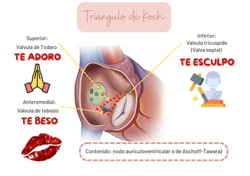 TRIANGULO DE KOCH