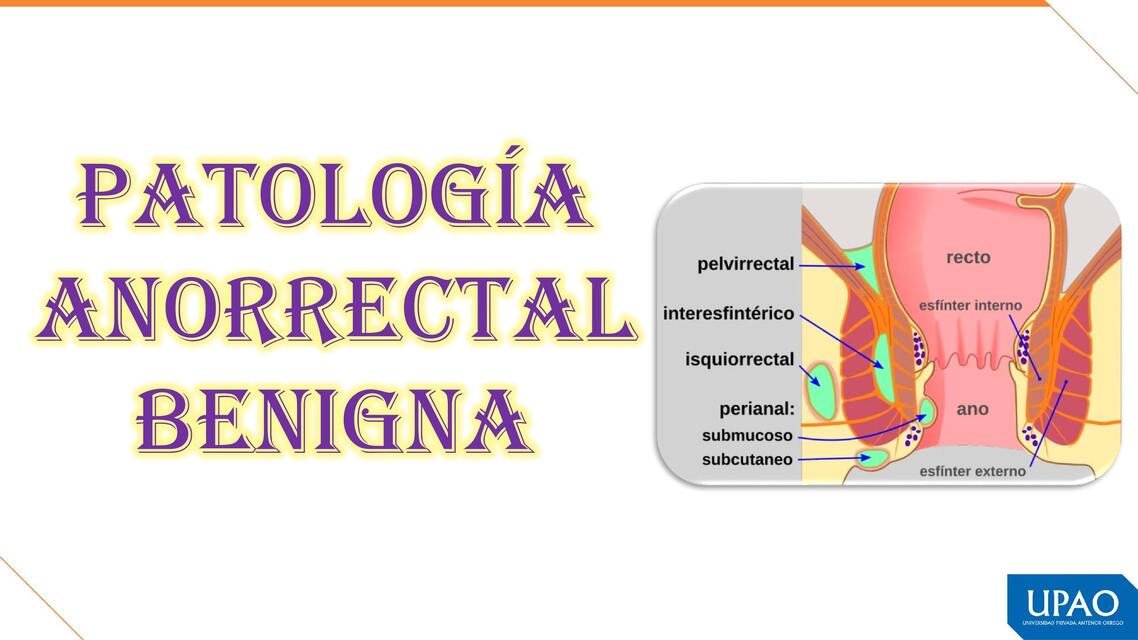 PATOLOGIA ANORECTAL