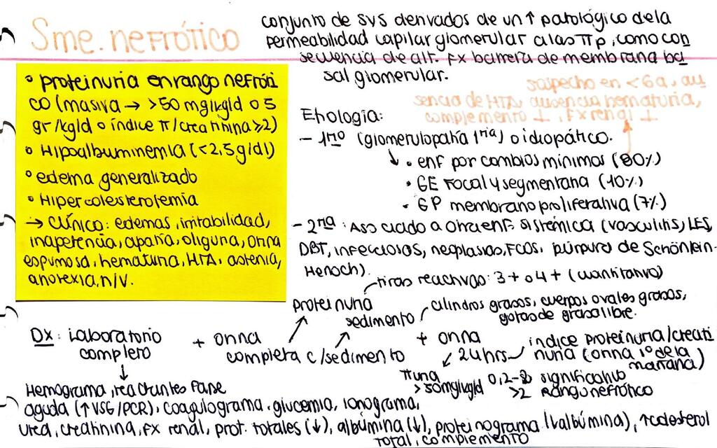 Sindrome nefrótico