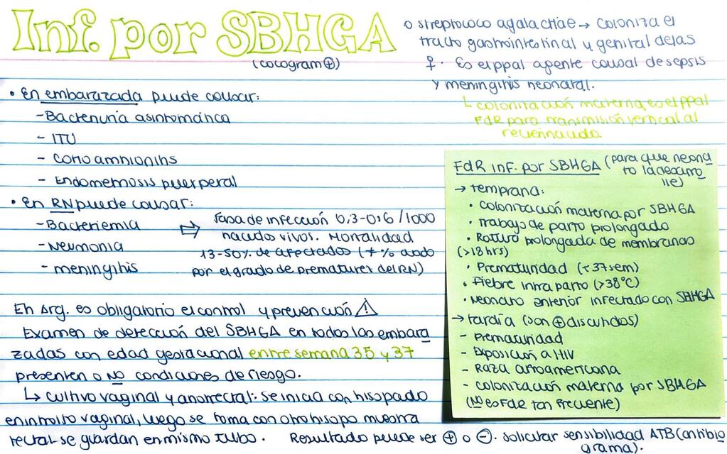 Infección por SBHGA (s. agalactiae)