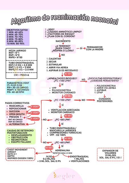 Algoritmo de reanimación neonatal