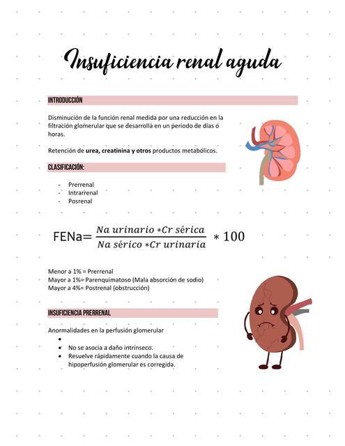 INSUFICIENCIA RENAL