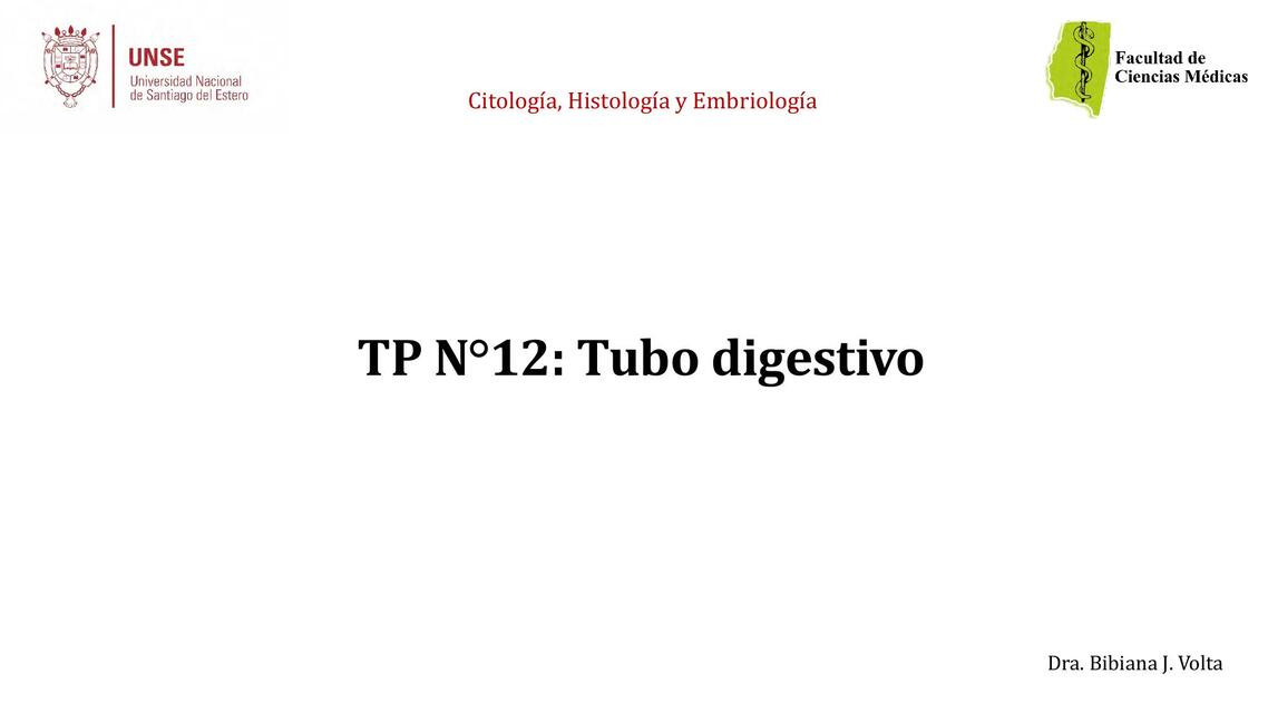 TP N 12 A CHE