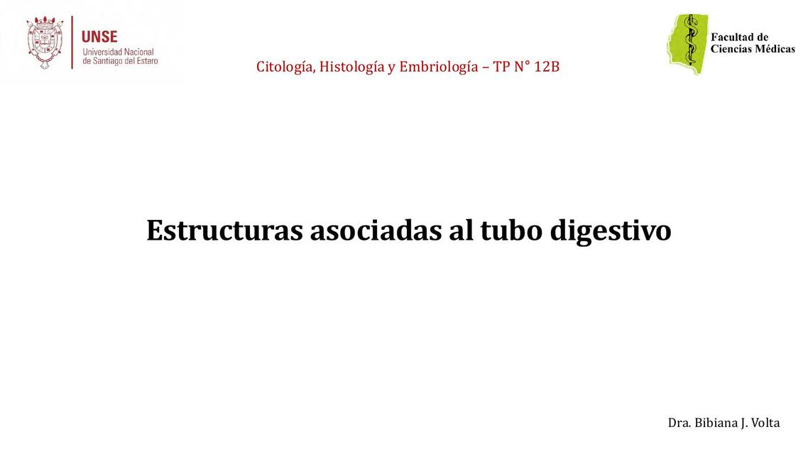 Estructuras asociadas al tubo digestivo