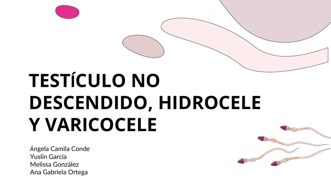 Testículo No Descendido Hidrocele y Varicocele