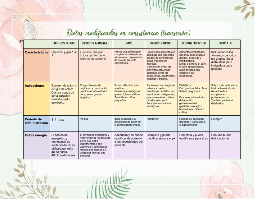 Dietas modificadas en consistencia