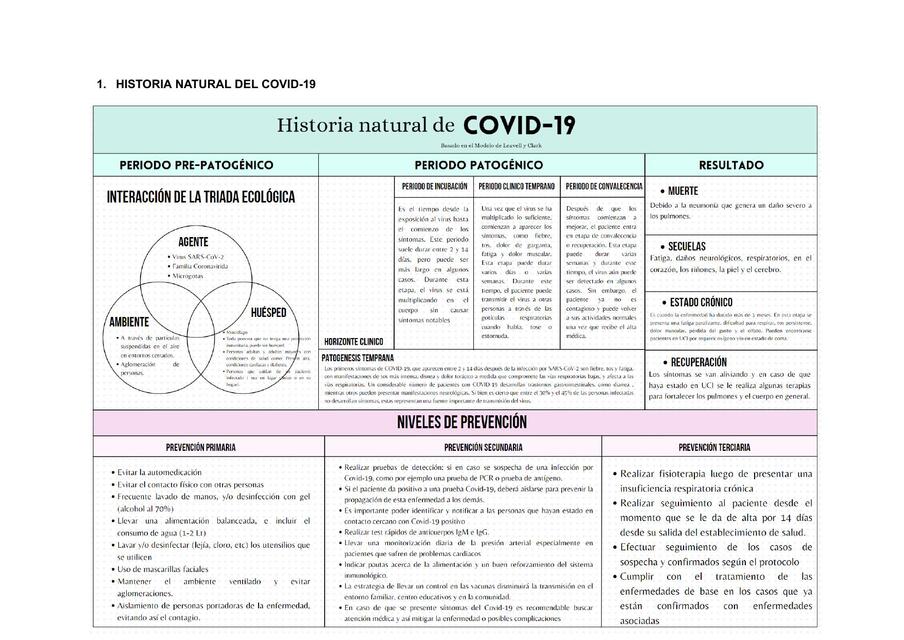 HISTORIA NATURAL DEL COVID 19 @nursenotess