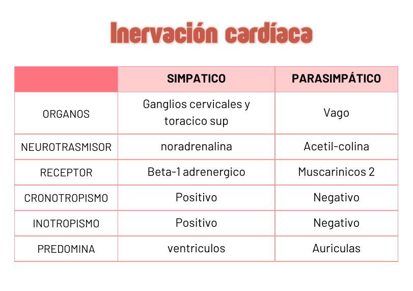 INERVACIÓN CARDIACA