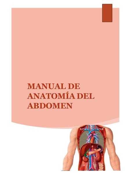 MANUAL DE ANATOMIA DEL ABDOMEN