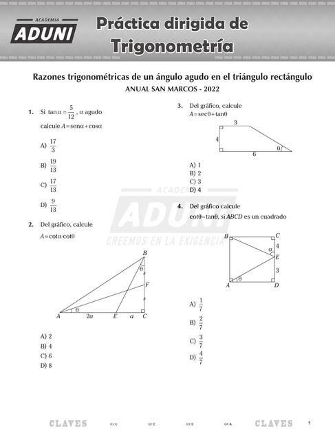 TRIGO Diri 1 25