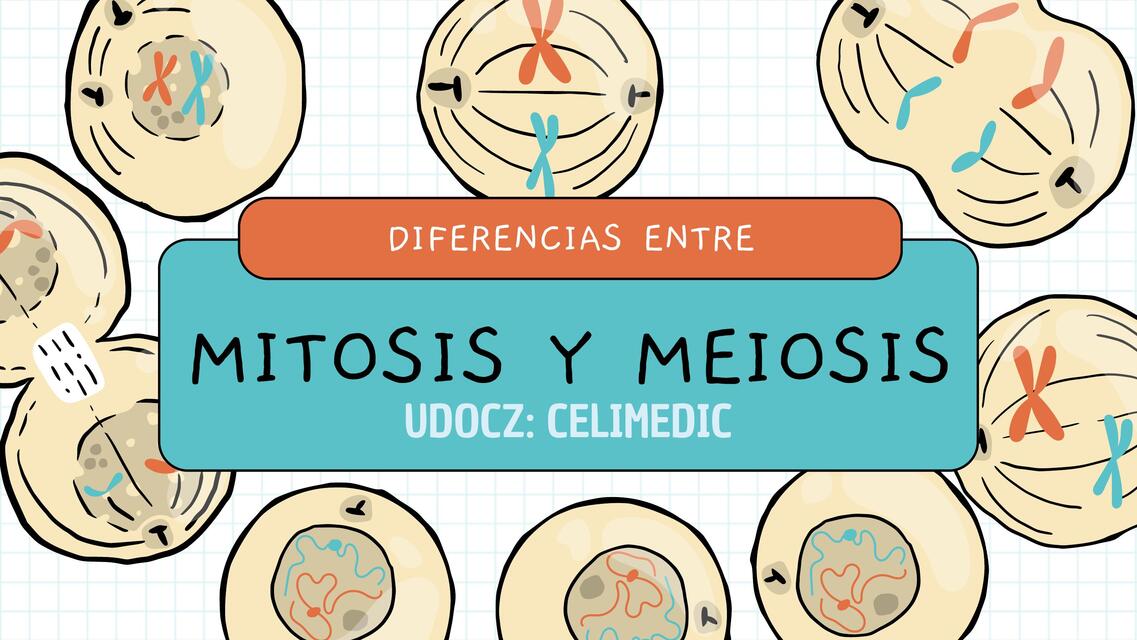 DIFERENCIAS ENTRE MITOSIS Y MEIOSIS