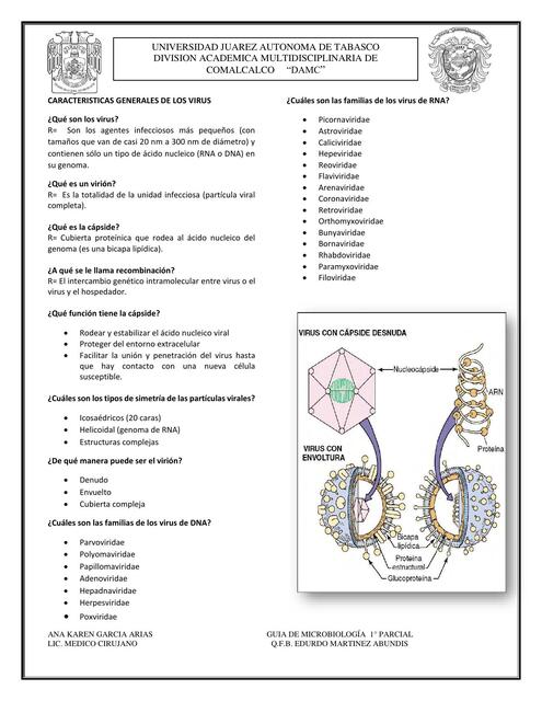 GUIA DE VIRUS