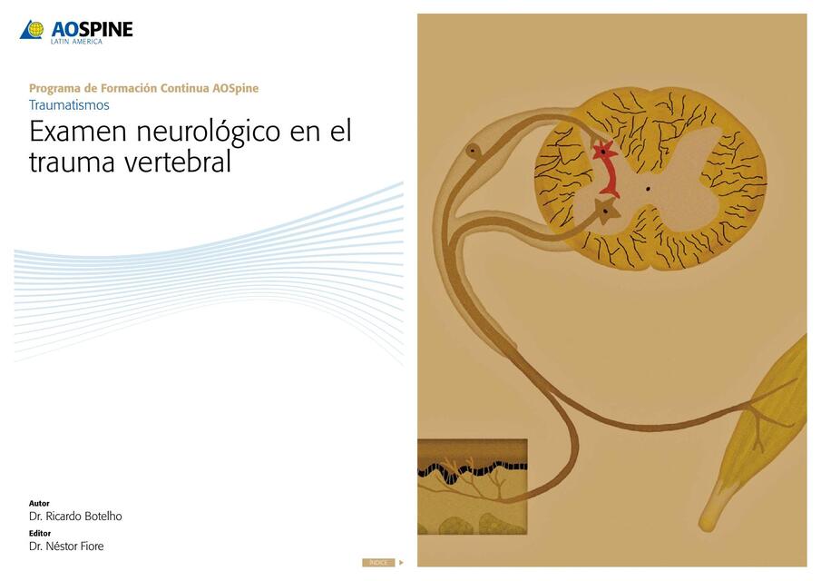 EXAMEN NEUROLOGICO EN EL TRAUMA VERTEBRAL