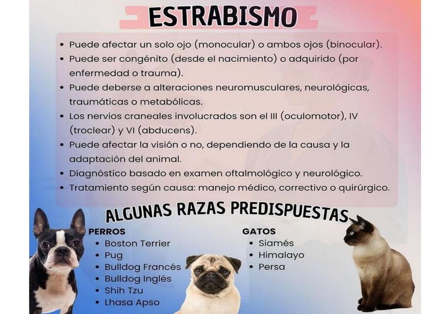 Estrabismo