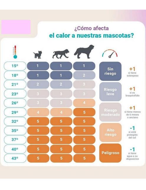 Efectos del calor en mascotas