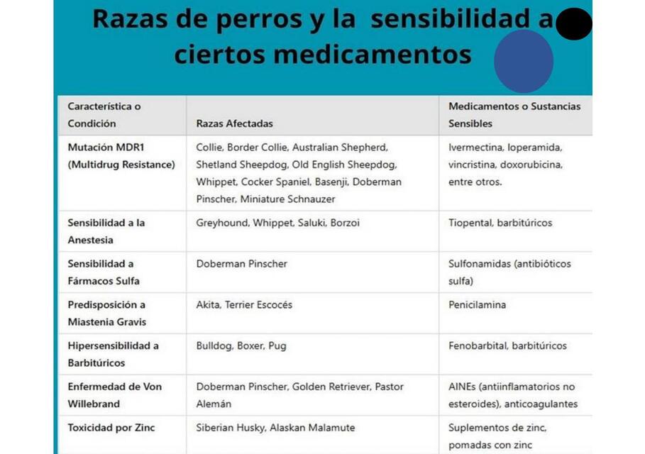 Sensibilidad a medicamentos según la raza