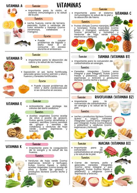 Vitaminas pdf