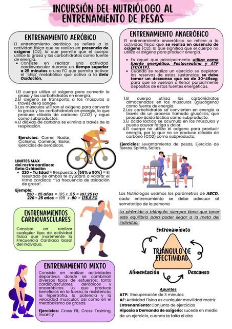 Entrenamiento pdf