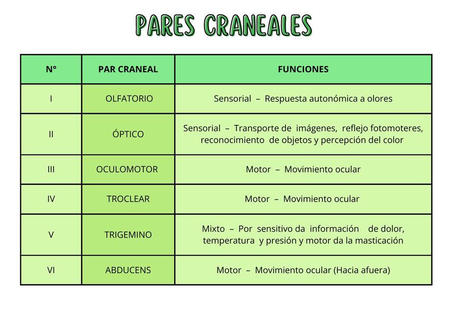 PARES CRANEALES