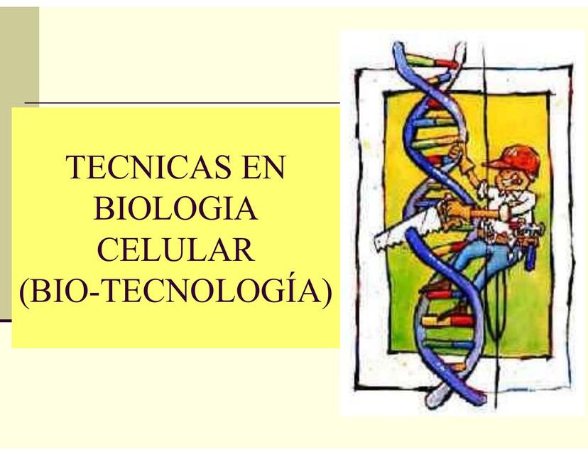 Bio Tecnología biología