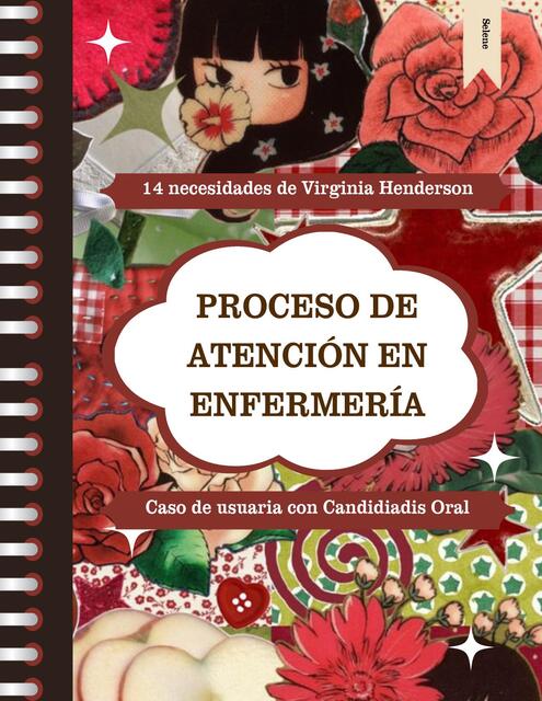 Proceso de Atención en Enfermería Ejemplo