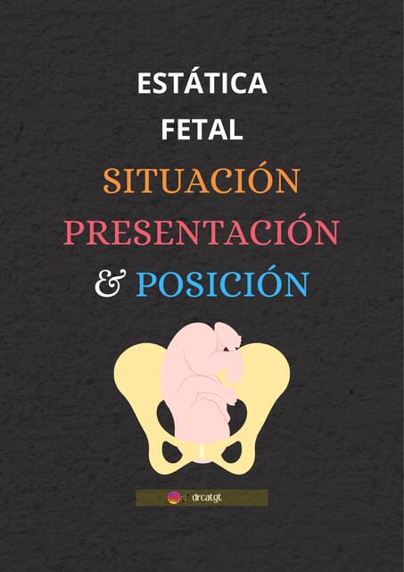 Estatica fetal