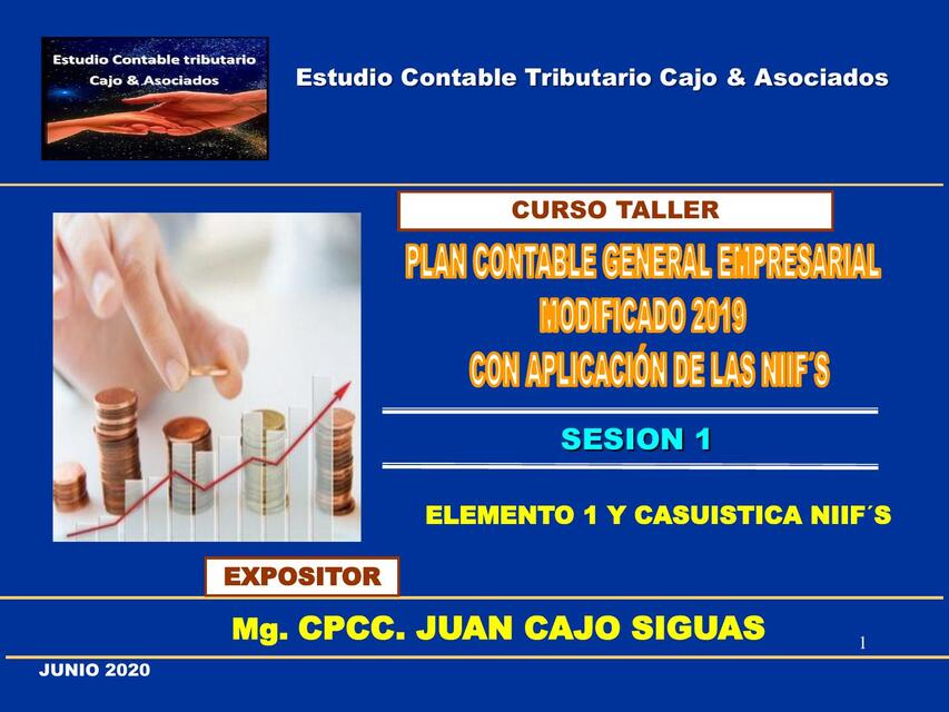 SESION PCGE y NIIF Elemento 1