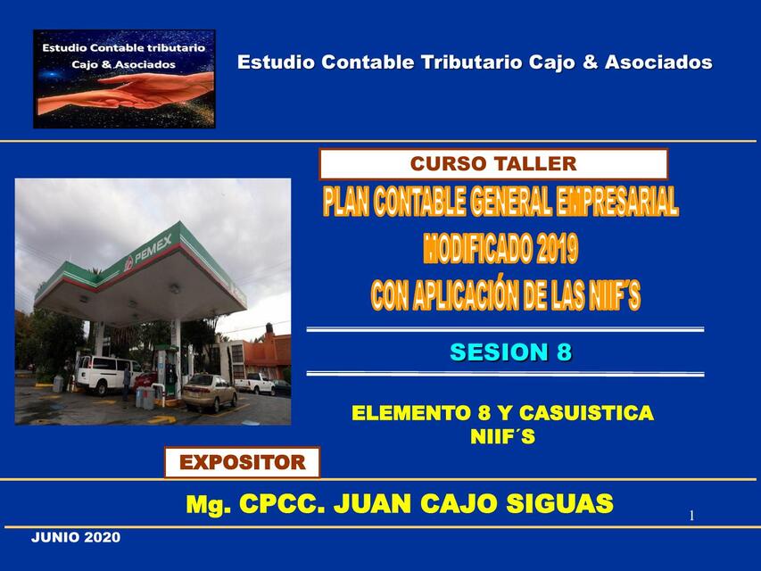 SESION PCGE y NIIF Elemento 8