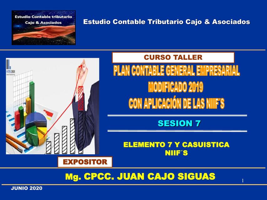 SESION PCGE y NIIF Elemento 7