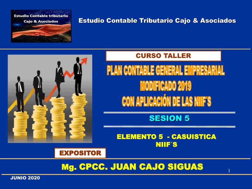 SESION PCGE y NIIF Elemento 5