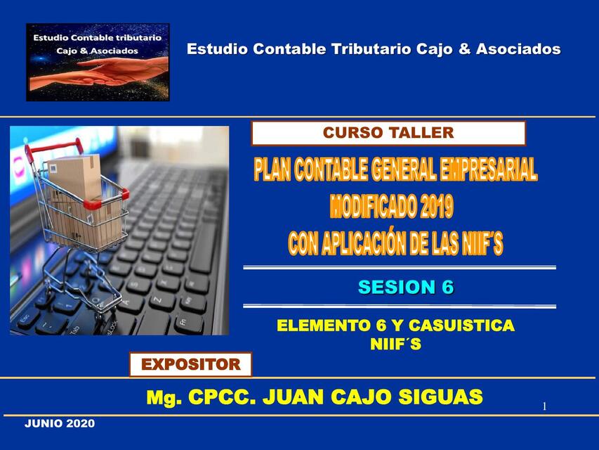 SESION PCGE y NIIF Elemento 6