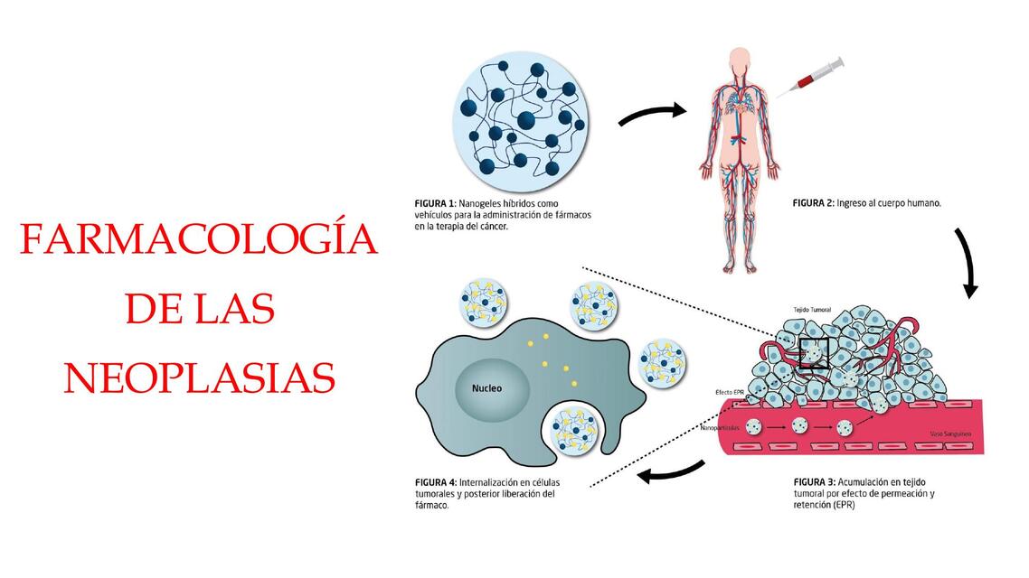 Farmacología de las Neoplasias - Farmacología